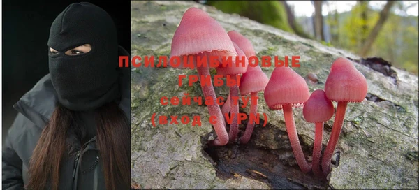 не бодяженный Баксан