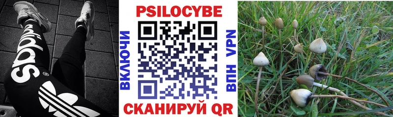 Галлюциногенные грибы мицелий  Белая Холуница 