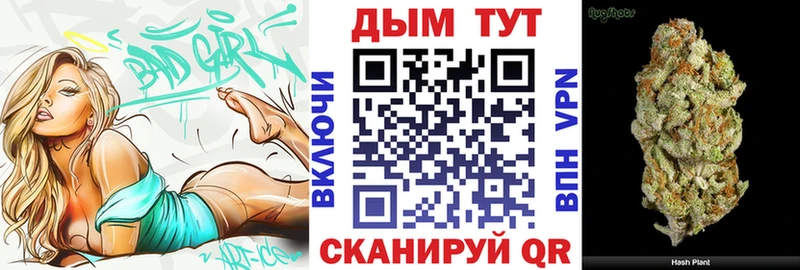 где можно купить   Белая Холуница  Канабис Amnesia 